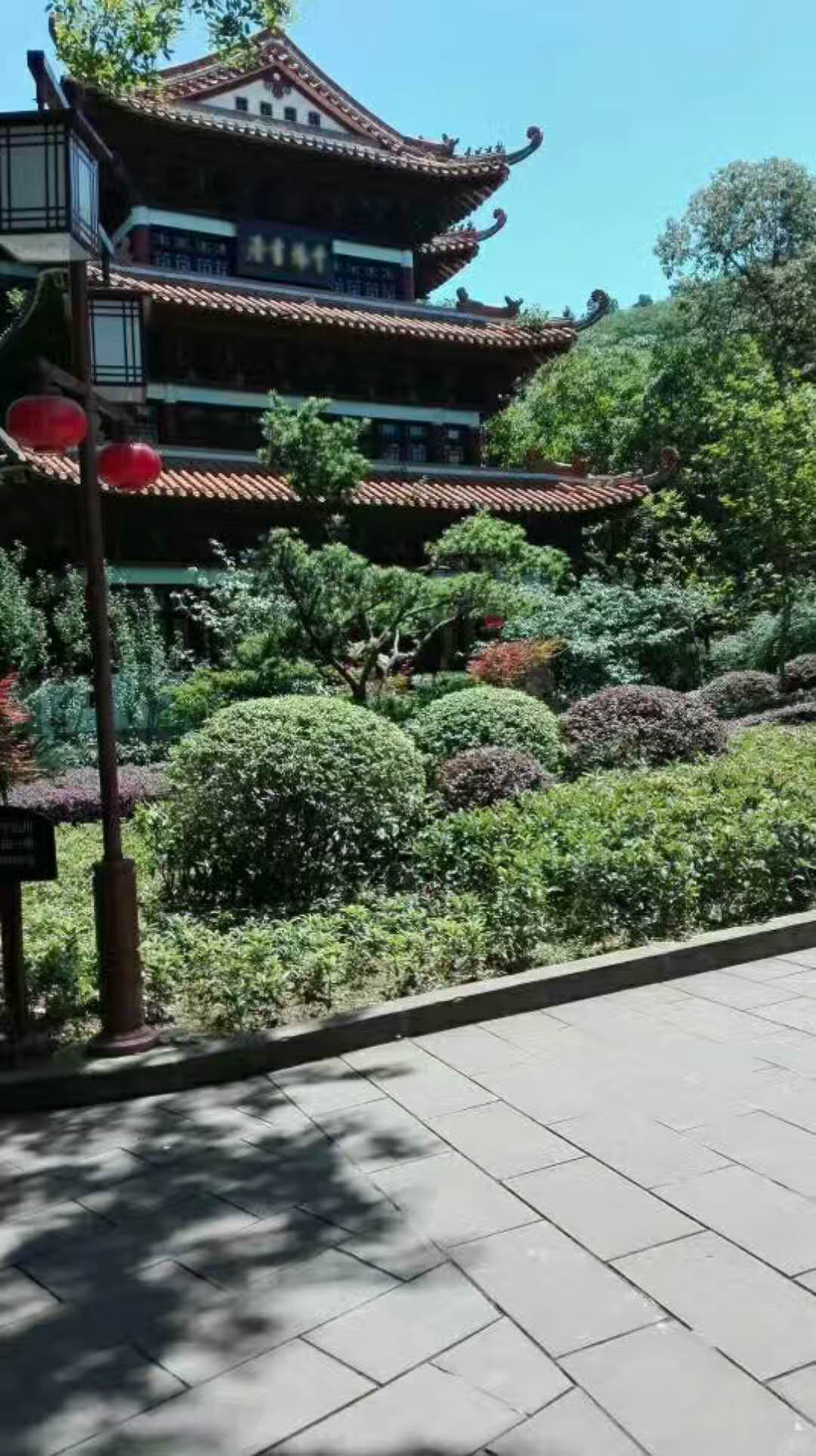 廣東揭陽(yáng)50套led庭院燈如期安裝完成！